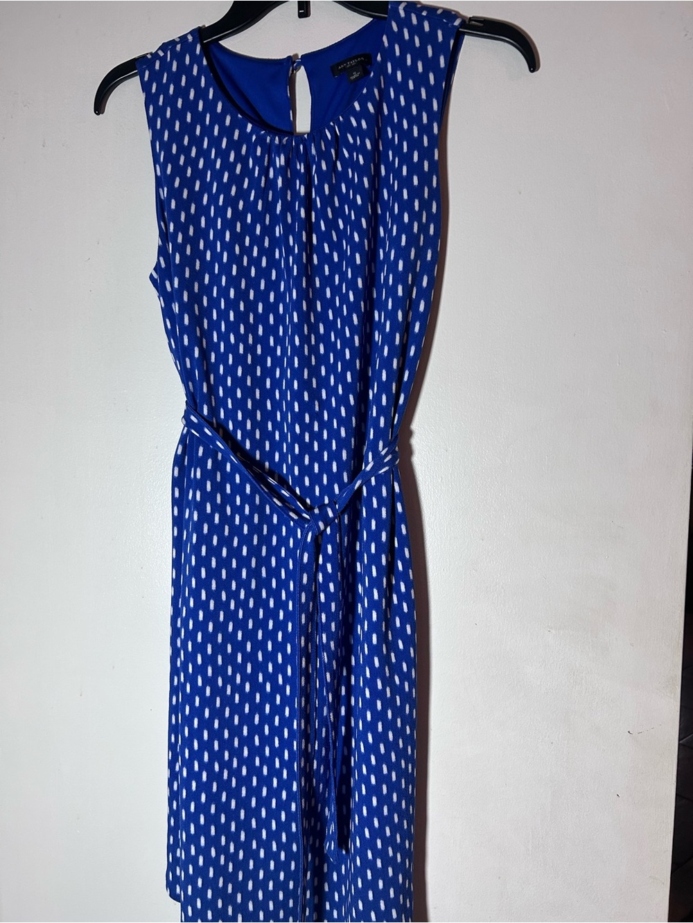 Ann Taylor Small Sleeveless Blue Printed Belted Dress